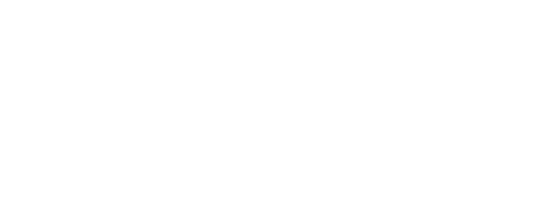 DINA AYADA